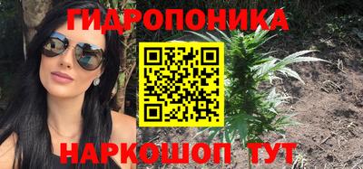 ГАЛЛЮЦИНОГЕННЫЕ ГРИБЫ Вязники