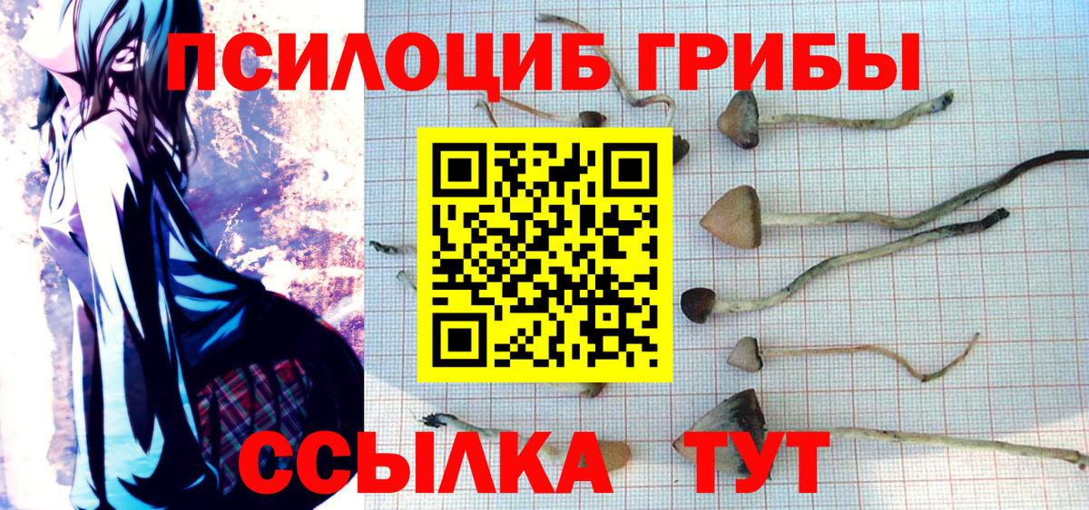 Псилоцибиновые грибы Magic Shrooms  купить  цена  Рассказово  Галлюциногенные грибы Cubensis  Вход с VPN 